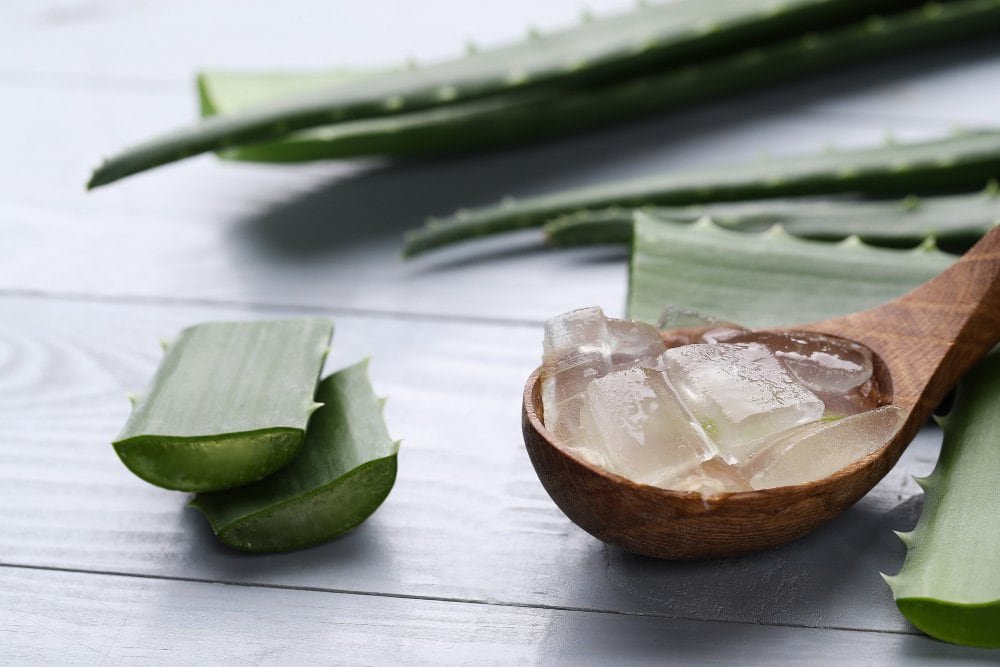 Aloe Vera – Savybės, nauda ir naudojimo būdai 1 Aloe Vera – Savybės, nauda ir naudojimo būdai