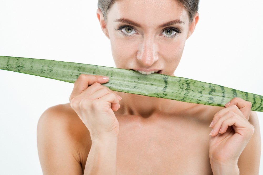 Aloe Vera – Savybės, nauda ir naudojimo būdai 6 Dazniausiai uzduodami klausimai aloe vera