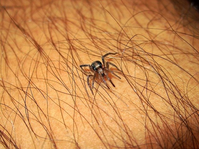 Erkinio encefalito priezastys