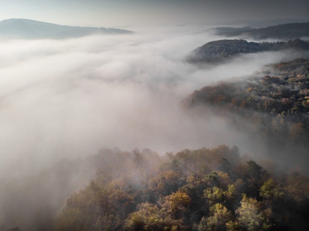 Rūkas šiomis dienomis: ar kenkia sveikatai? 2 Rukas siomis dienomis ar kenkia sveikatai 2